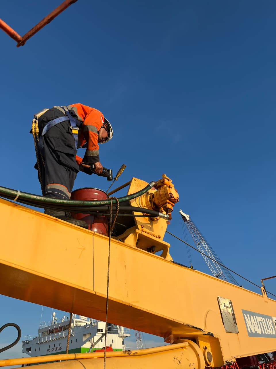 Bulk Cargo Transport